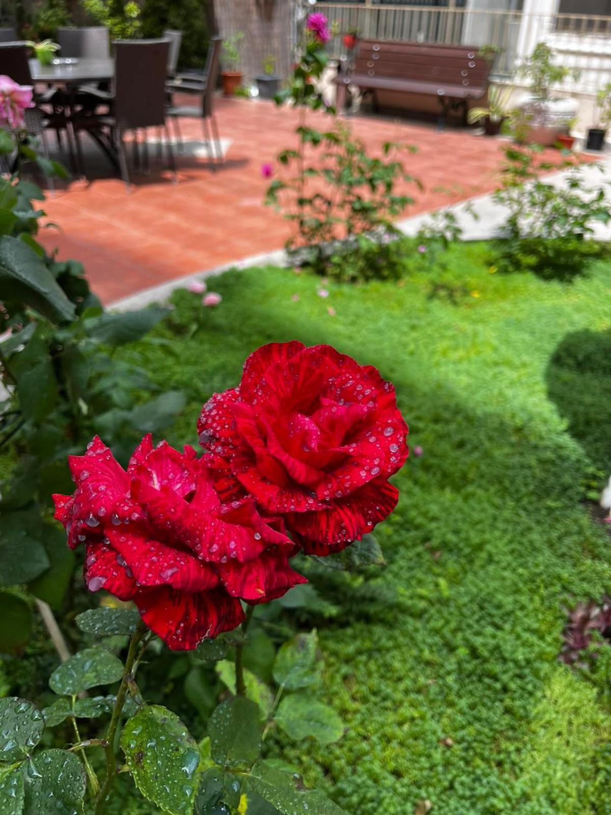 Rose Garden Omax Apartments Pantai Sunny Luaran gambar
